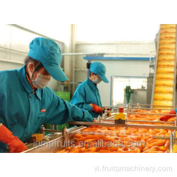 Công nghiệp rau cà rốt trái cây xay nhuyễn